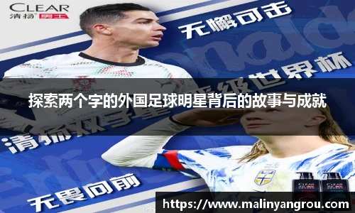 探索两个字的外国足球明星背后的故事与成就